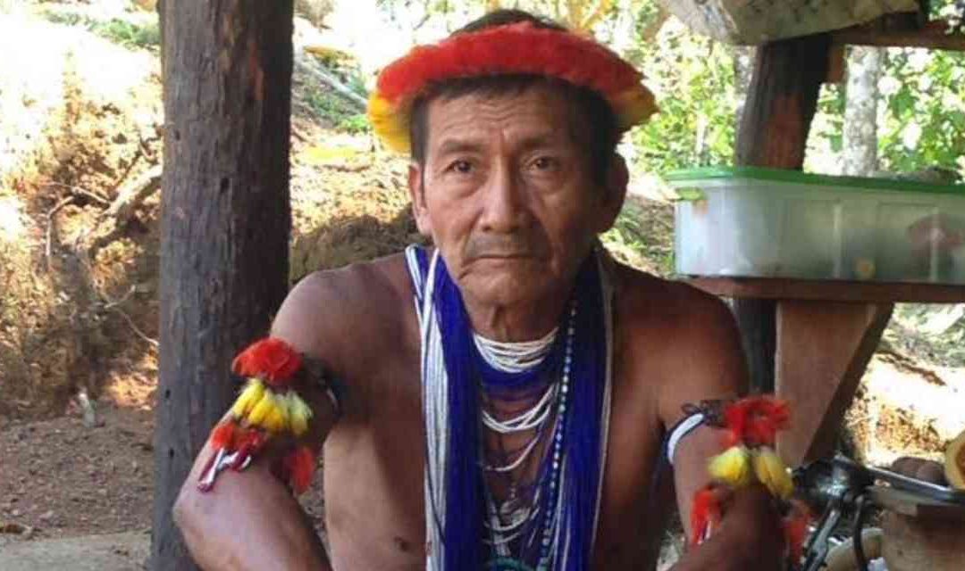 Líderes indígenas se unen a favor de la Amazonia