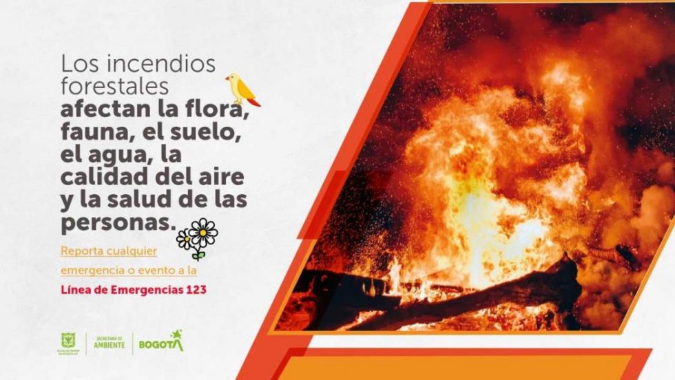 Acciones Para Prevenir Incendios Forestales Y Proteger Los Ecosistemas De Bogotá Konuco 6905