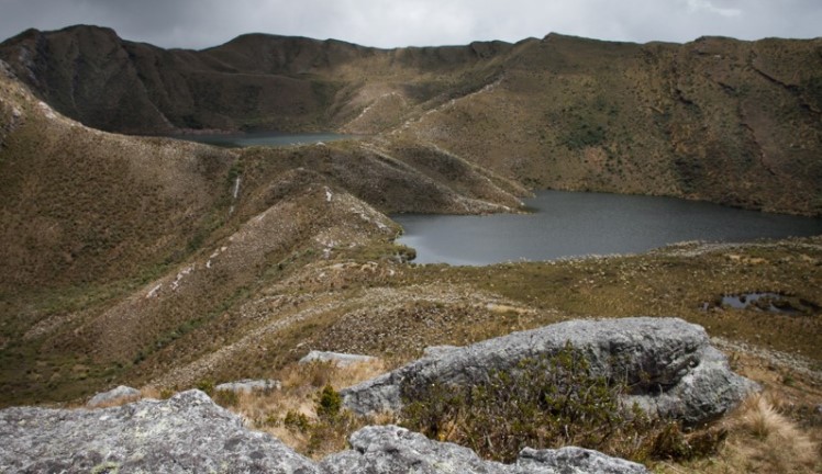 Se puede hacer conservación junto a las comunidades que habitan en los páramos