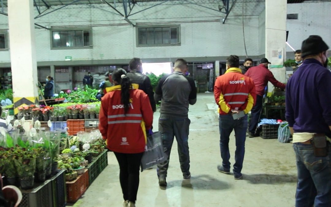 Con reubicación de 70 comerciantes informales se inaugura en Los Mártires el mayor comercio de plantas ornamentales de Bogotá