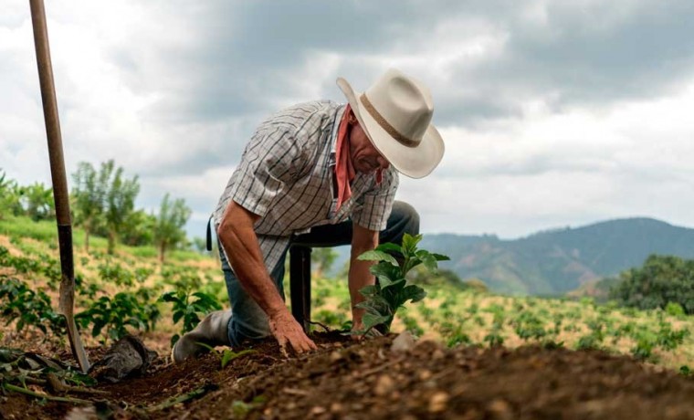 En apoyo a pequeños y medianos productores: Gobierno sanciona Ley de Insumos Agropecuarios