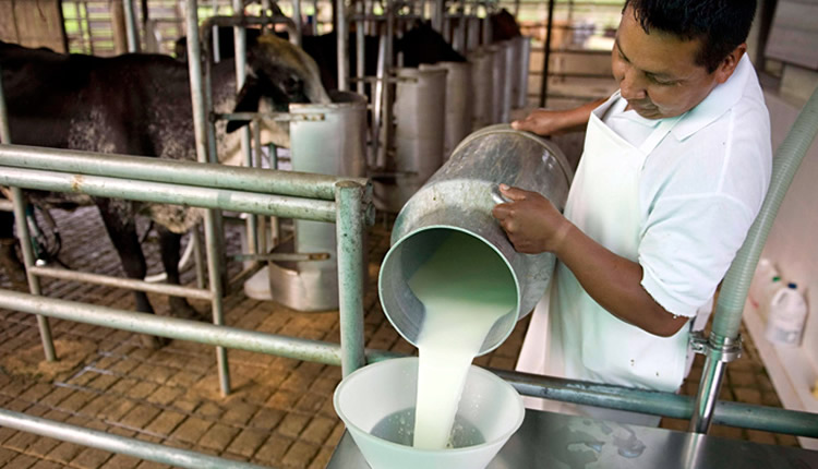 Buena noticia: Colombia logró permisos para la exportación de leche y productos lácteos a Israel