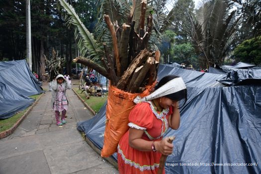 Indígenas embera alojados en el Parque Nacional están a puertas de un desalojo