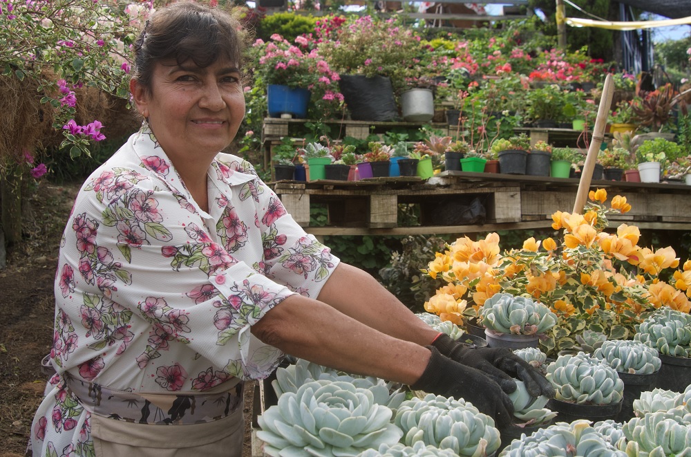 Apuesta por la agricultura: cerca 2.800 productores rurales de Medellín fortalecerán sus unidades productivas