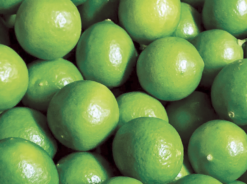 Limón Tahití se convirtió en la fruta más exportada por Colombia: positivo balance