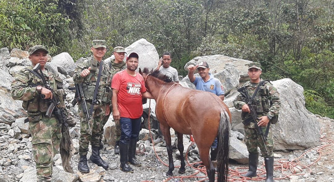 El Ejército Nacional rescató a un caballo que estaba atrapado por las fuertes corrientes en Antioquia