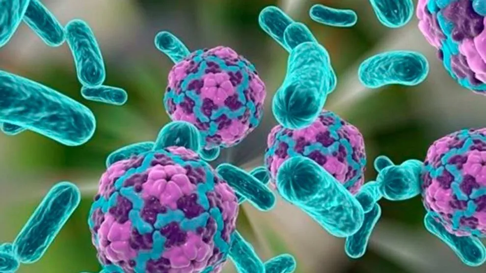 Según estudio infecciones bacterianas son la segunda causa de muerte en el mundo