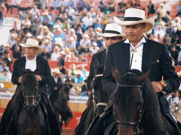 480 mil empleos directos e indirectos generan las actividades del sector equino