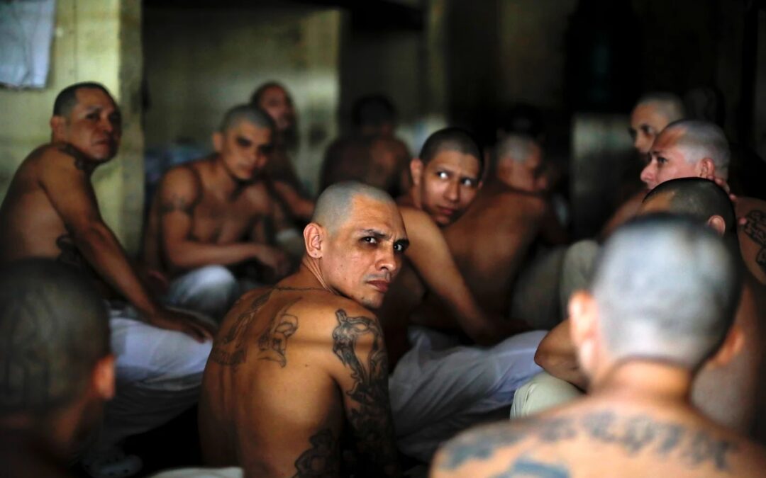 Nayib Bukele estrena la megacárcel con 2.000 pandilleros trasladados