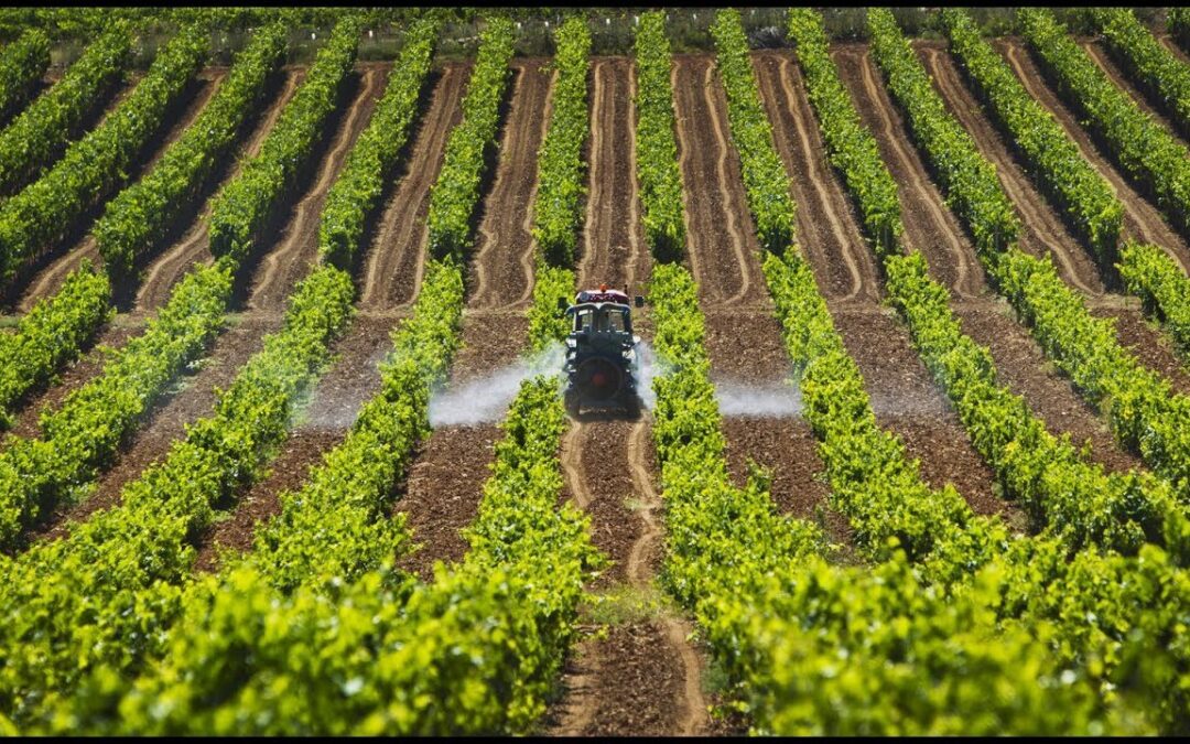 Reforma Agraria es una realidad: Gobierno del presidente Gustavo Petro entregó más de 3.500 hectáreas de tierras compradas