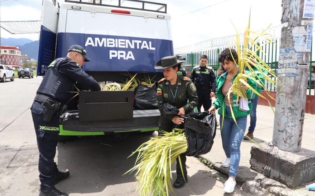 Más de 55 kilos de palma silvestre fue recuperada previo a Domingo de Ramos