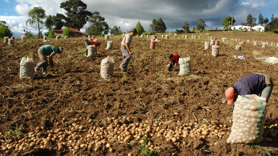 Nuevo jornal agropecuario para el campo