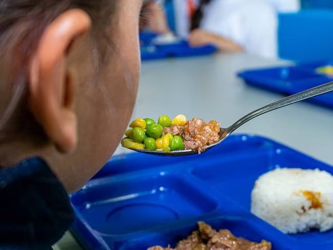 Más de 122 mil estudiantes de La Guajira están en riesgo de no recibir alimentos del PAE a partir de julio