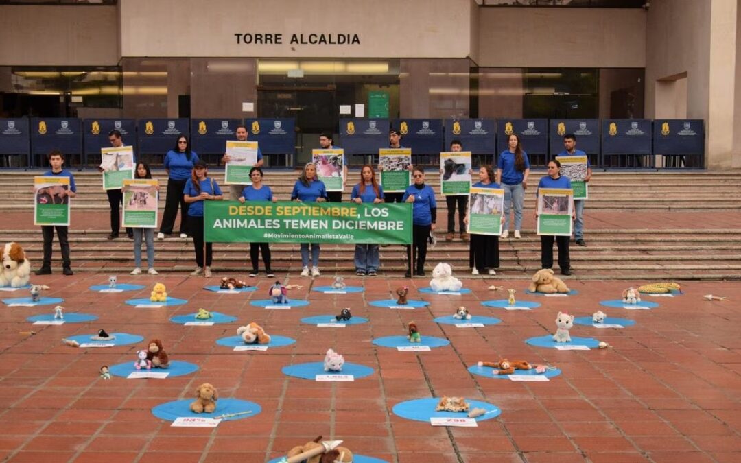 «Desde septiembre los animales temen diciembre» la campaña en Cali en contra del uso de pólvora