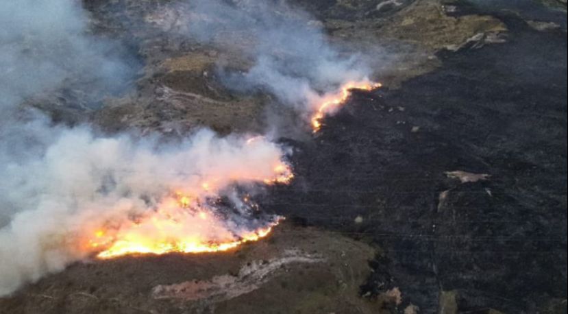 Colombia enfrenta emergencia por 17 incendios forestales activos afectados por sequía y calor.