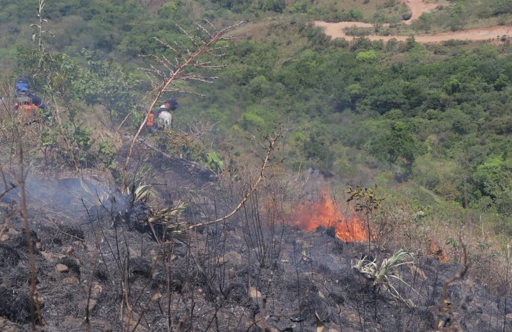 Evitemos tragedias: prevención de incendios forestales