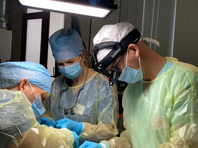 Colombia se consolida como destino líder para cirugías estéticas con 30% de pacientes