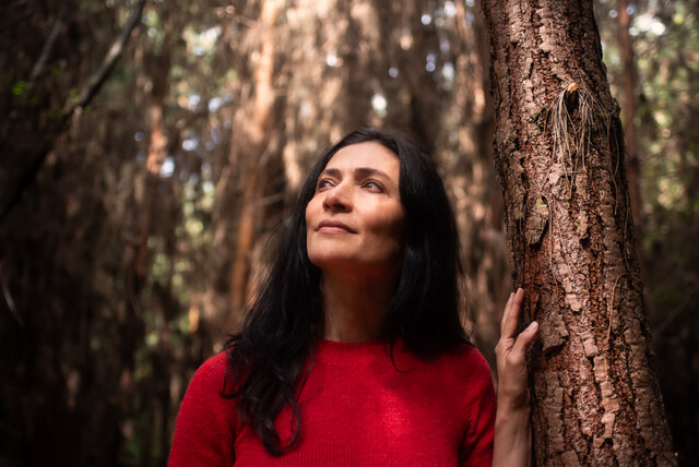 Ana María Orozco y Salvador del Solar protagonizan obra teatral en Bogotá