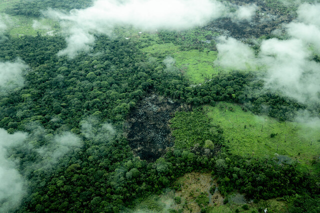 Colombia suma ocho nuevas áreas para la conservación de rayas en el Amazonas