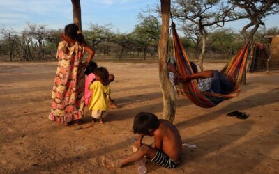 Niñez indígena en riesgo: desnutrición infantil cuadruplica el promedio nacional, advierte la Contraloría