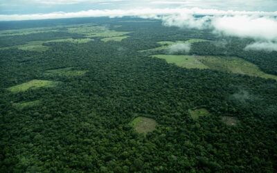 Conservar Paga se extiende hasta 2026: más apoyo a familias e indígenas que protegen los bosques